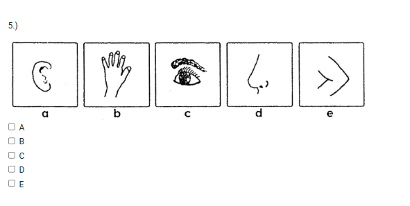 pict (13).png